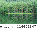 Shrine pond 116601347