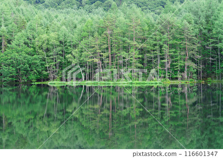 Shrine pond 116601347