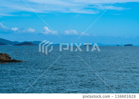 [瀨戶內海國立公園] 從兵庫縣赤穗市青岬榻榻米岩看到的姬路2 116601628