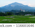 Terasaka Tanada 116601646
