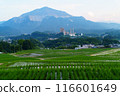 Terasaka Tanada 116601649