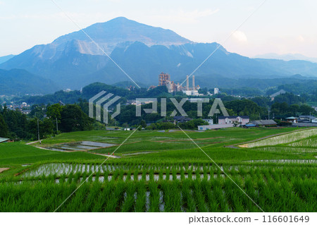 Terasaka Tanada 116601649