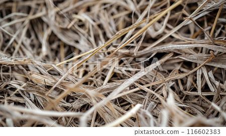 Dry straw texture with interwoven strands close-up. 116602383