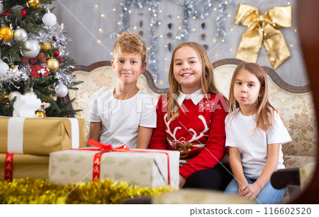 Satisfied children rejoice with New Year gifts, sitting on the sofa next to New Year tree Satisfied children rejoice with New Year gifts, sitting on the sofa next to New Year tree 116602520