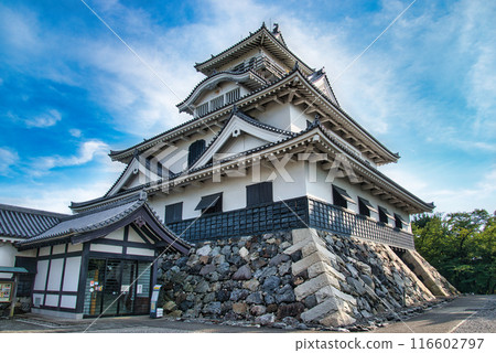 長濱城天守閣在藍天的襯托下熠熠生輝 長濱城天守閣在藍天的襯托下熠熠生輝 116602797