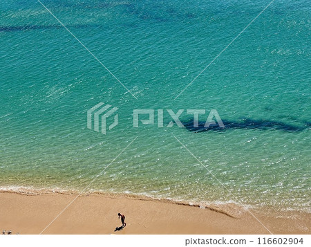 Atlantic Ocean shore, Beliche beach, Praia do Beliche,Algarve,Portugal Atlantic Ocean shore, Beliche beach, Praia do Beliche,Algarve,Portugal 116602904