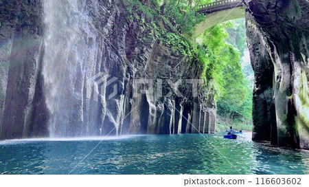 The spray of Manai Falls reflects on the emerald blue surface of the Gokase River amid the fresh greenery (Takachiho Gorge/Takachiho Town, Miyazaki Prefecture) The spray of Manai Falls reflects on the emerald blue surface of the Gokase River amid the fresh greenery (Takachiho Gorge/Takachiho Town, Miyazaki Prefecture) 116603602