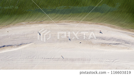 sandy beach on the seashore, view from above 116603819
