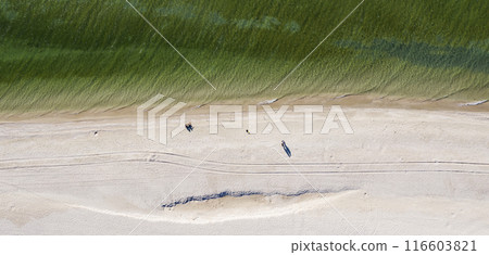 sandy beach on the seashore, view from above sandy beach on the seashore, view from above 116603821