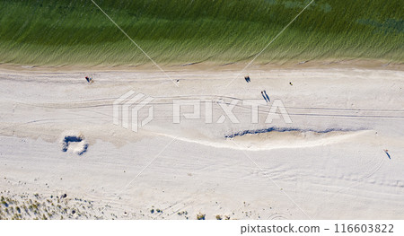 sandy beach on the seashore, view from above sandy beach on the seashore, view from above 116603822