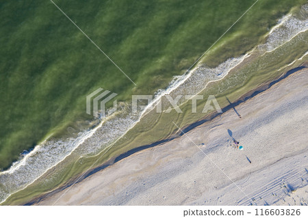 sandy beach on the seashore, view from above sandy beach on the seashore, view from above 116603826