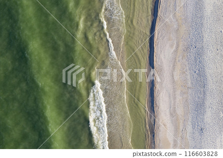 sandy beach on the seashore, view from above sandy beach on the seashore, view from above 116603828