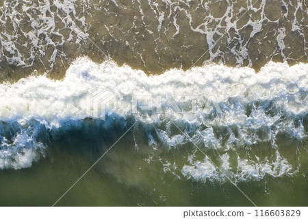 sandy beach on the seashore, view from above sandy beach on the seashore, view from above 116603829