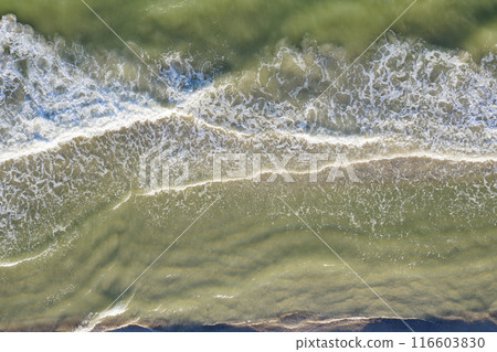 sandy beach on the seashore, view from above 116603830