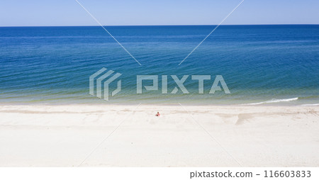 sandy beach on the seashore, view from above 116603833