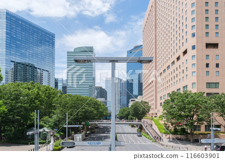 西新宿公園大道、新宿中央公園和摩天大樓,新宿區,東京 西新宿公園大道、新宿中央公園和摩天大樓,新宿區,東京 116603901