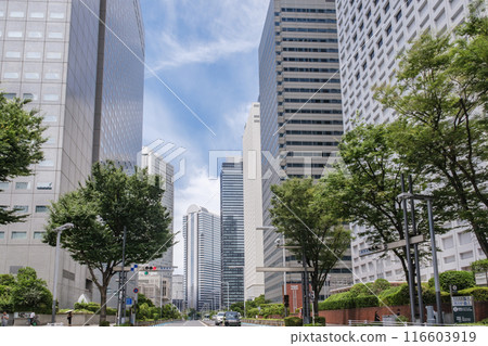 西新宿，東京新宿區國會大廈南十字路口和國會大廈街沿線的一組高層建築 116603919