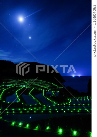 在月光下的夜晚的稻米露台 在月光下的夜晚的稻米露台 116604062