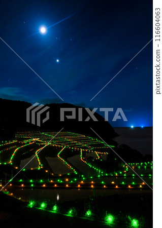在月光下的夜晚的稻米露台 在月光下的夜晚的稻米露台 116604063