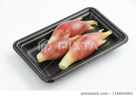 Myoga (Japanese ginger) Myoga (Japanese ginger) 116604065