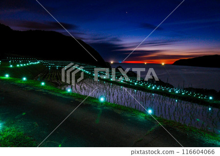Rice terrace at moonlit night Rice terrace at moonlit night 116604066