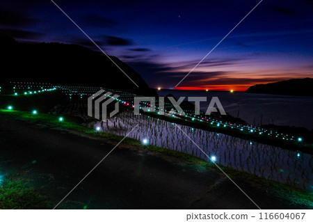 Rice terrace at moonlit night Rice terrace at moonlit night 116604067