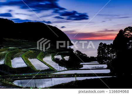 在月光下的夜晚的稻米露台 116604068