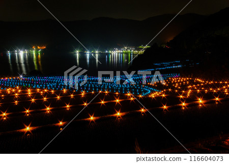 在月光下的夜晚的稻米露台 116604073