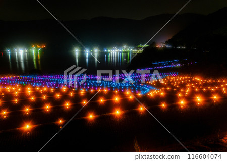 在月光下的夜晚的稻米露台 116604074