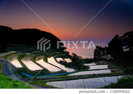 Sunset over rice terraces Sunset over rice terraces 116604082