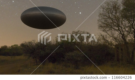 Ufo, photorealistic 3d visualization, 3d render 116604226