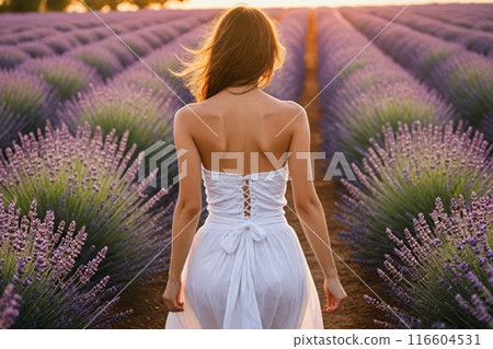 Woman in white dress walking by lavender flowers field at sunset Woman in white dress walking by lavender flowers field at sunset 116604531