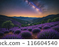 Lavender field at night, amazing landscape with starry sky, milky way and glow of sunrise 116604540