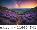 Lavender field at night, amazing landscape with starry sky, milky way and glow of sunrise 116604541