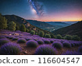 Lavender field at night, amazing landscape with starry sky, milky way and glow of sunrise 116604547