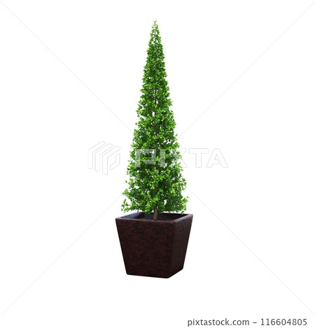 decorative flower in a pot isolated on white background, 3D illustration, cg render decorative flower in a pot isolated on white background, 3D illustration, cg render 116604805