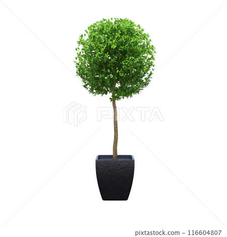 decorative flower in a pot isolated on white background, 3D illustration, cg render decorative flower in a pot isolated on white background, 3D illustration, cg render 116604807