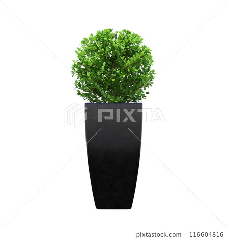 decorative flower in a pot isolated on white background, 3D illustration, cg render 116604816