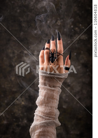Witch hand with long black nails 116604818