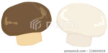 Simple mushroom illustration vector material Simple mushroom illustration vector material 116604838