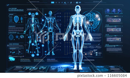 An illustration shows the anatomy of the human...-插圖素材 [116605084 ...