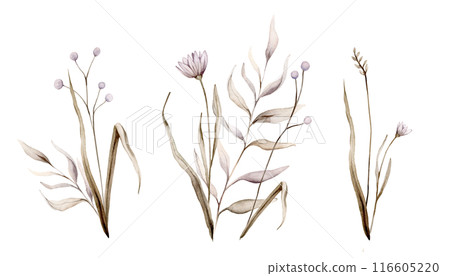 Set of watercolor fantasy botanical illustration branches and light purple flowers. Lilac circle floral illustration. Fall vibes. Hand painted drawing isolated on background. floral herds pastel color Set of watercolor fantasy botanical illustration branches and light purple flowers. Lilac circle floral illustration. Fall vibes. Hand painted drawing isolated on background. floral herds pastel color 116605220