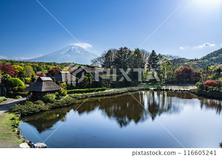 從忍野八海（山梨縣）看到的富士山 116605241
