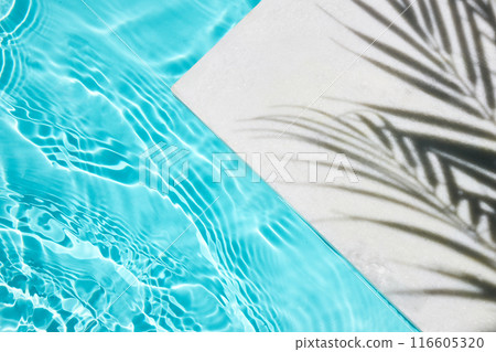 Poolside Shadow Shadow of a palm tree on a white surface next to a clear blue swimming pool. 116605320