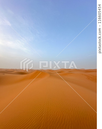 Sunset and blue sky in the Sahara Desert, Merzouga, Morocco Sunset and blue sky in the Sahara Desert, Merzouga, Morocco 116605454