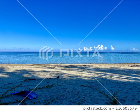 鈷藍色的大海和白色的沙灘➁ 鈷藍色的大海和白色的沙灘➁ 116605579