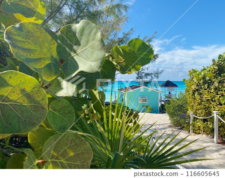 Bahamas Beach House 116605645