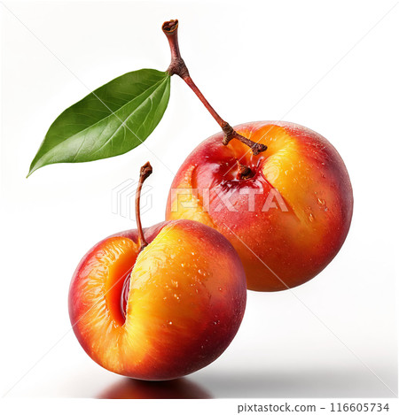 Juicy nectarines spinning smooth skin glistening pit midair Prunus persica var nucipersica Food and Culinary 116605734