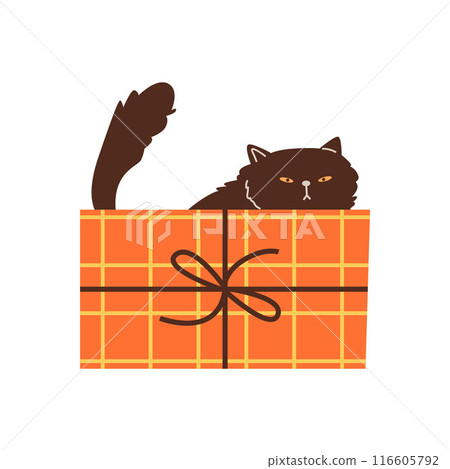 Playful cat in a cardboard box. Isolated illustration. Playful cat in a cardboard box. Isolated illustration. 116605792