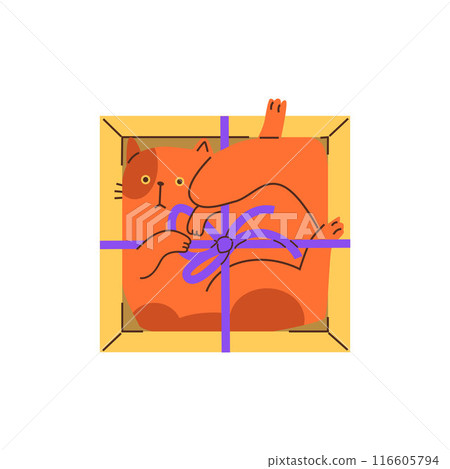 Cute ginger cat lies inside in gift box decorated with bow, vector funny hiding kitten, cartoon fluffy pet above view Cute ginger cat lies inside in gift box decorated with bow, vector funny hiding kitten, cartoon fluffy pet above view 116605794